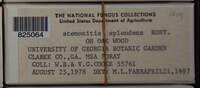 Image Associated With the Occurence